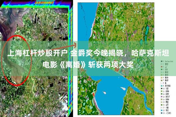 上海杠杆炒股开户 金爵奖今晚揭晓，哈萨克斯坦电影《离婚》斩获两项大奖