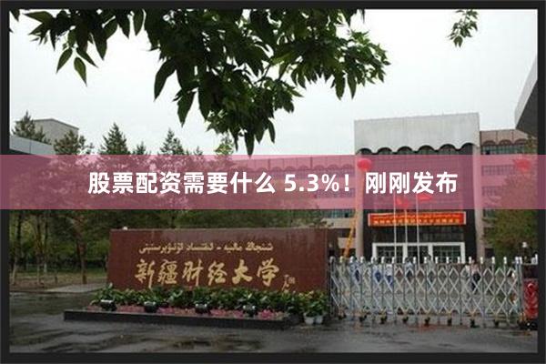 股票配资需要什么 5.3%！刚刚发布