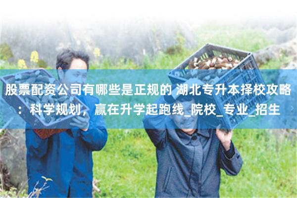 股票配资公司有哪些是正规的 湖北专升本择校攻略：科学规划，赢在升学起跑线_院校_专业_招生