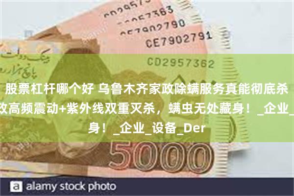 股票杠杆哪个好 乌鲁木齐家政除螨服务真能彻底杀灭吗？家政高频震动+紫外线双重灭杀，螨虫无处藏身！_企业_设备_Der