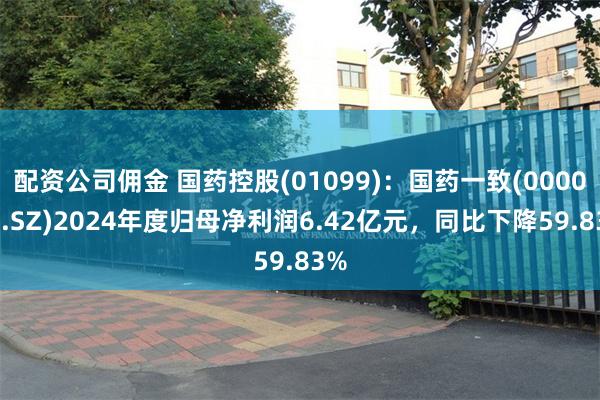 配资公司佣金 国药控股(01099)：国药一致(000028.SZ)2024年度归母净利润6.42亿元，同比下降59.83%