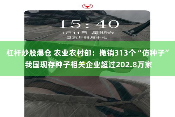 杠杆炒股爆仓 农业农村部：撤销313个“仿种子” 我国现存种子相关企业超过202.8万家