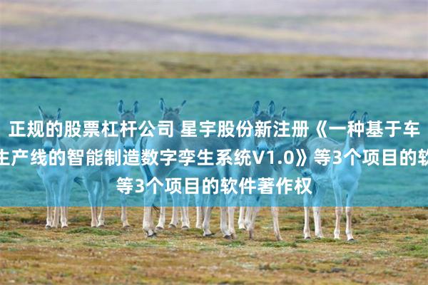 正规的股票杠杆公司 星宇股份新注册《一种基于车灯自动化生产线的智能制造数字孪生系统V1.0》等3个项目的软件著作权