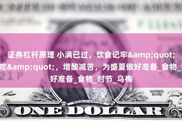 证券杠杆原理 小满已过，饮食记牢&quot;3不食2要吃&quot;，增酸减苦，为盛夏做好准备_食物_时节_乌梅
