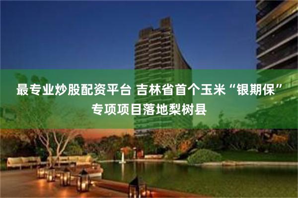 最专业炒股配资平台 吉林省首个玉米“银期保”专项项目落地梨树县