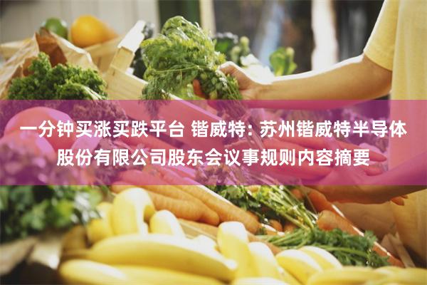 一分钟买涨买跌平台 锴威特: 苏州锴威特半导体股份有限公司股东会议事规则内容摘要