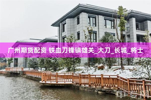 广州期货配资 铁血刀锋镇雄关_大刀_长城_将士