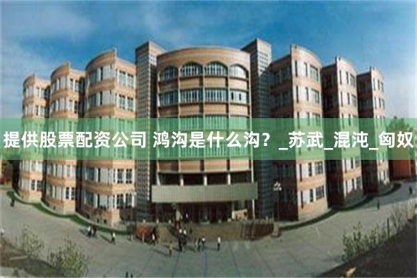 提供股票配资公司 鸿沟是什么沟？_苏武_混沌_匈奴