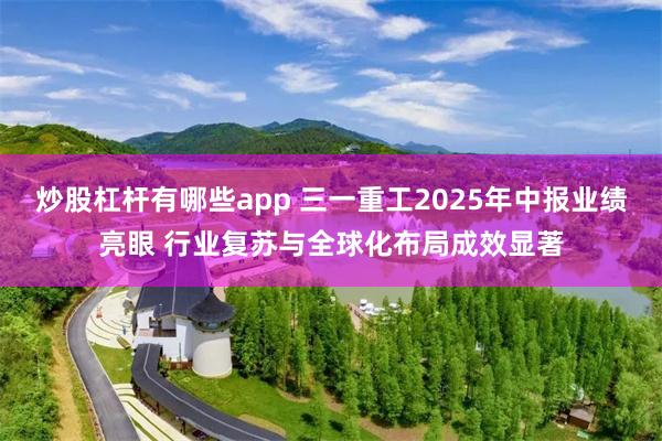 炒股杠杆有哪些app 三一重工2025年中报业绩亮眼 行业复苏与全球化布局成效显著
