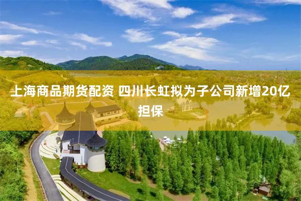 上海商品期货配资 四川长虹拟为子公司新增20亿担保