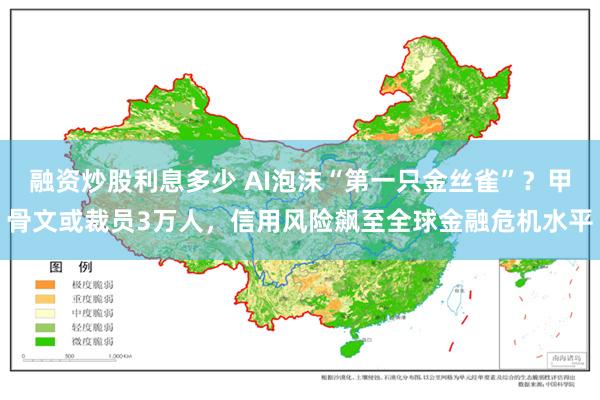 融资炒股利息多少 AI泡沫“第一只金丝雀”？甲骨文或裁员3万人，信用风险飙至全球金融危机水平